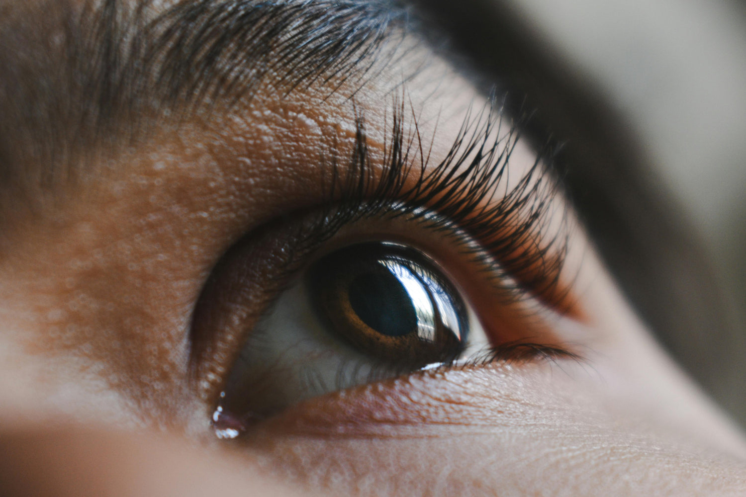Closeup of eye