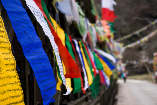 Flags of the World: Symbols of Identity, Unity, and History