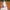 Major League Baseball Blade Collection