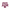 Texas A and M logo