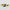 Penguins Speed Shift - White
