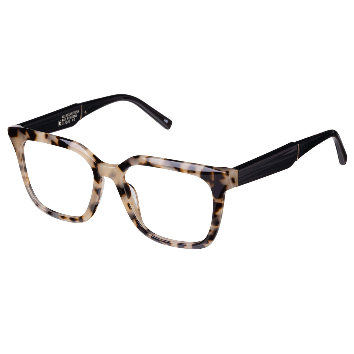Vivid View-Tortoise - Side View
